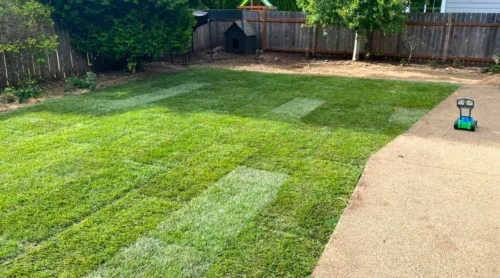 new yard makeover in a house backyard